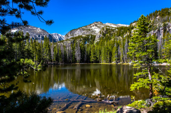 Картинка природа реки озера простор