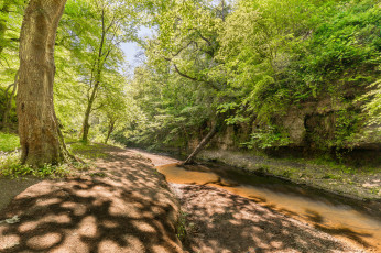 Картинка природа реки озера простор