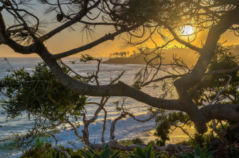 Картинка природа побережье простор