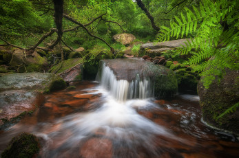 Картинка природа реки озера простор