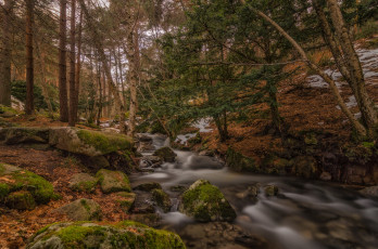 Картинка природа реки озера простор