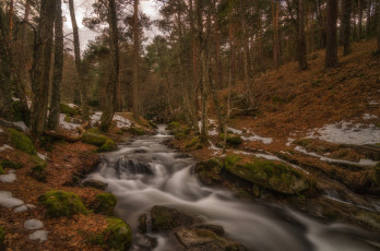 Картинка природа реки озера простор