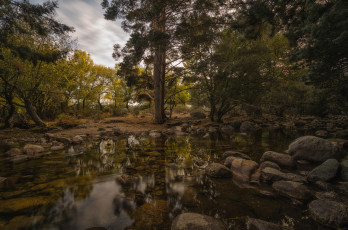 Картинка природа реки озера простор