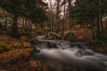 Картинка природа реки озера простор