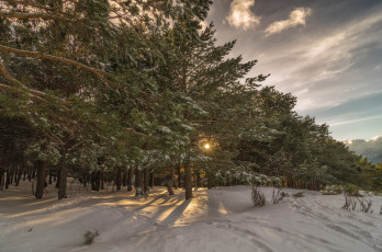 Картинка природа зима простор