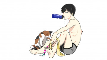 обоя аниме, yowamushi pedal, парень