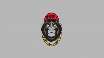 Картинка рисованное минимализм очки sunglasses юмор горилла minimalism цепь gorilla humor art brooklyn арт caps chain old dirty dermot кепка