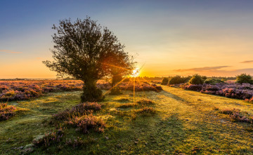 Картинка природа восходы закаты рассвет