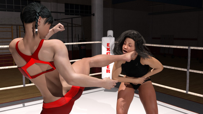 Обои картинки фото 3д графика, спорт , sport, девушки, взгляд, фон, ринг, бокс