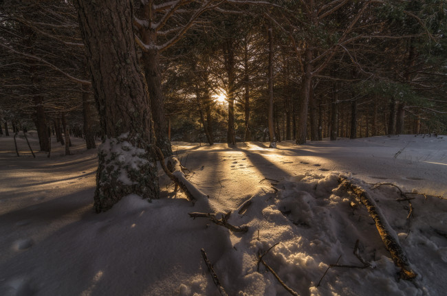 Обои картинки фото природа, зима, простор