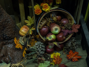 Картинка еда Яблоки композиция