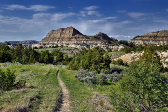 Картинка природа пейзажи простор