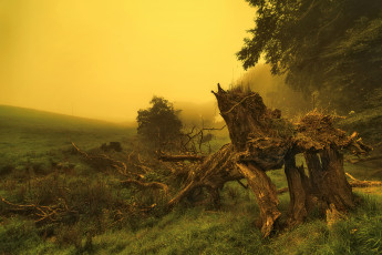 Картинка природа пейзажи простор