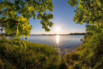 Картинка природа реки озера простор