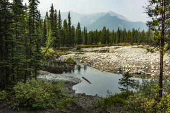 Картинка природа реки озера простор