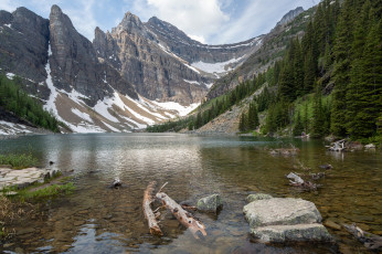 Картинка природа реки озера простор