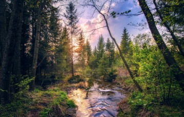 Картинка природа реки озера простор