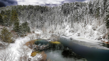 Картинка природа реки озера лес река