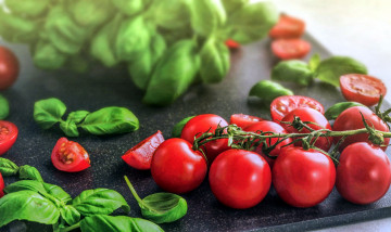 Картинка еда помидоры базилик томаты