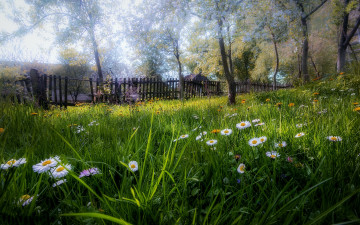 Картинка природа луга простор