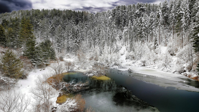 Обои картинки фото природа, реки, озера, лес, река