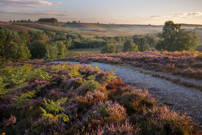 Обои картинки фото природа, реки, озера, простор