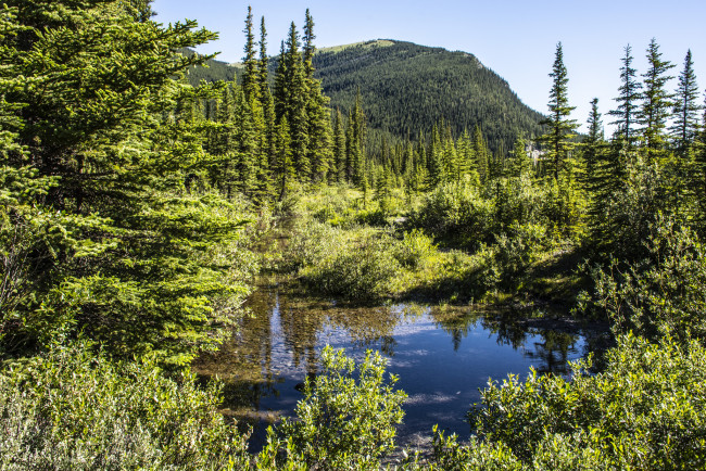 Обои картинки фото природа, реки, озера, простор