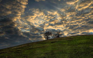 Картинка природа деревья небо облака холм трава