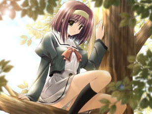 Картинка аниме *unknown другое