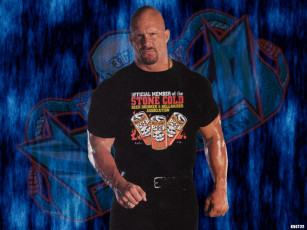 Картинка спорт wwe