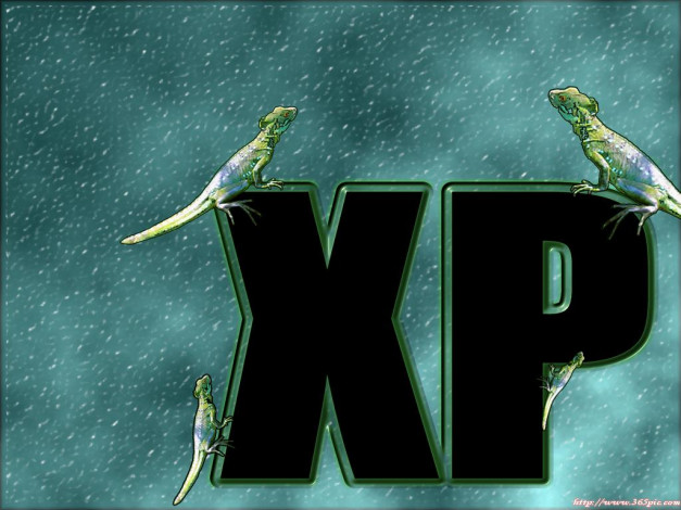 Обои картинки фото компьютеры, windows, xp