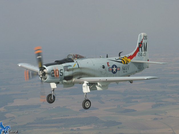 Обои картинки фото авиация, лёгкие, одномоторные, самолёты