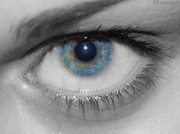 Обои картинки фото глаз, разное, глаза