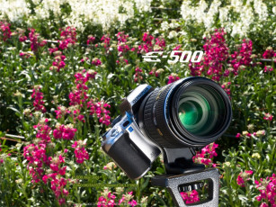 Картинка бренды olympus