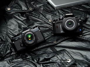 Картинка бренды olympus