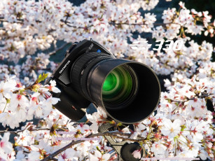 Картинка бренды olympus