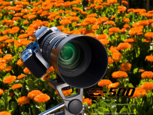 Картинка бренды olympus