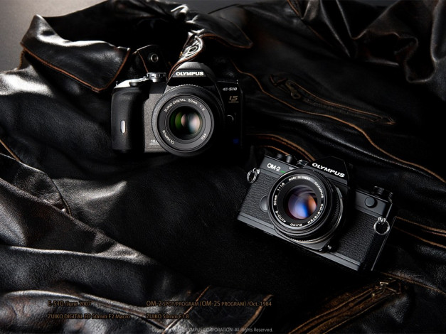 Обои картинки фото бренды, olympus