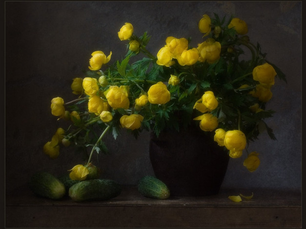 Обои картинки фото ли, ши, цветами, огурцами, цветы, букеты, композиции