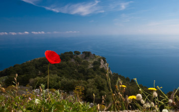 Картинка автор сергей доля природа побережье