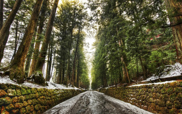 Картинка природа дороги