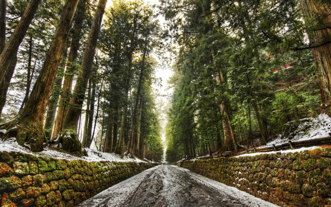 Обои картинки фото природа, дороги