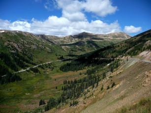 Картинка природа горы облака ели дорога