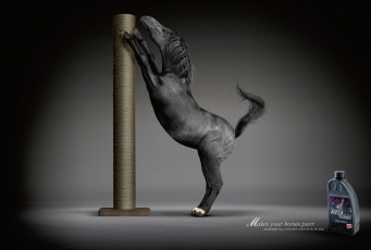 Картинка avia motor oil бренды конь