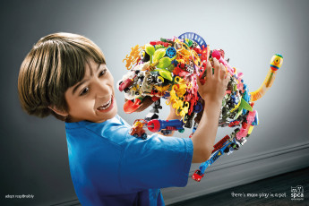 Картинка spca бренды мальчик