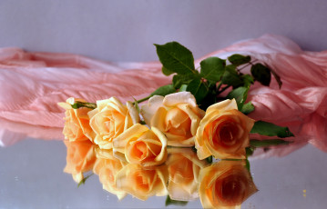 Картинка авт nezabudka fn цветы розы отражение