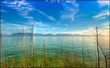 Картинка природа реки озера птицы вода горы