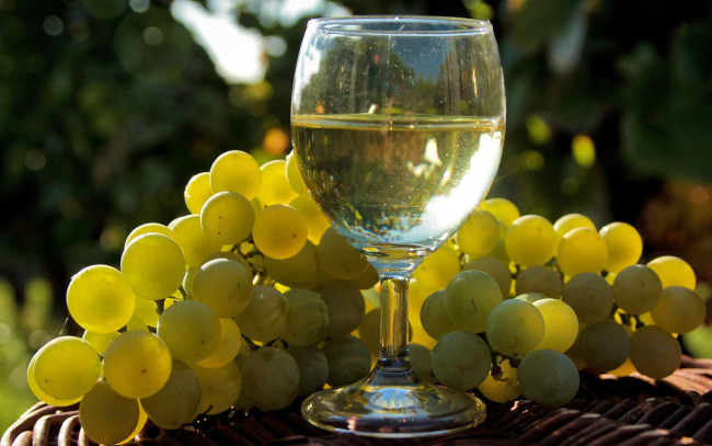 Обои картинки фото еда, напитки, вино, бокал, виноград