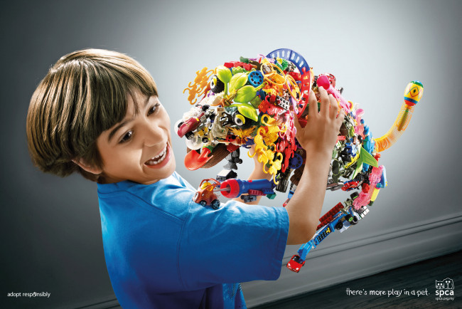 Обои картинки фото spca, бренды, мальчик