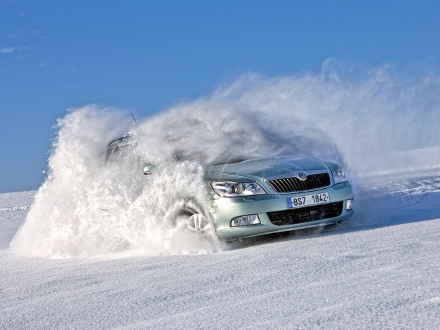 Обои картинки фото автомобили, skoda, зима, снег